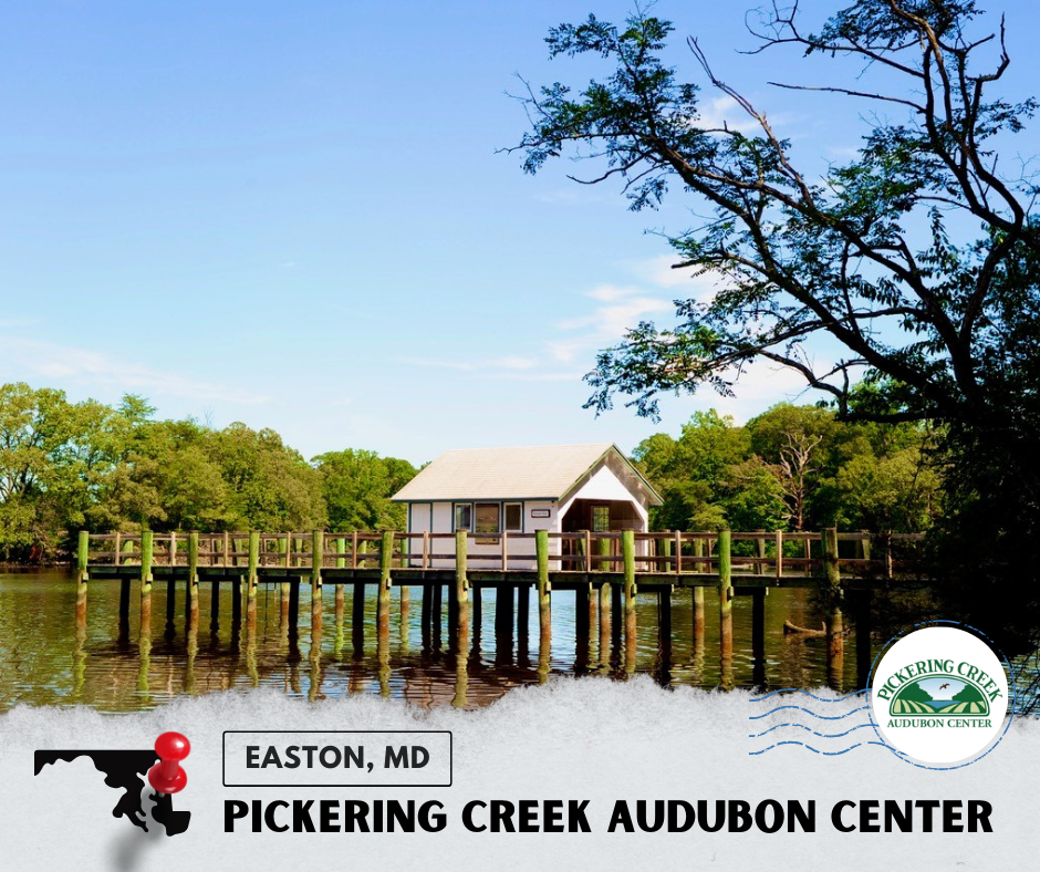 Pickering Creek